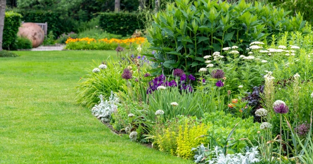 Een vasteplantenborder vol karakter: vaste planten aanplanten en onderhouden Thumb