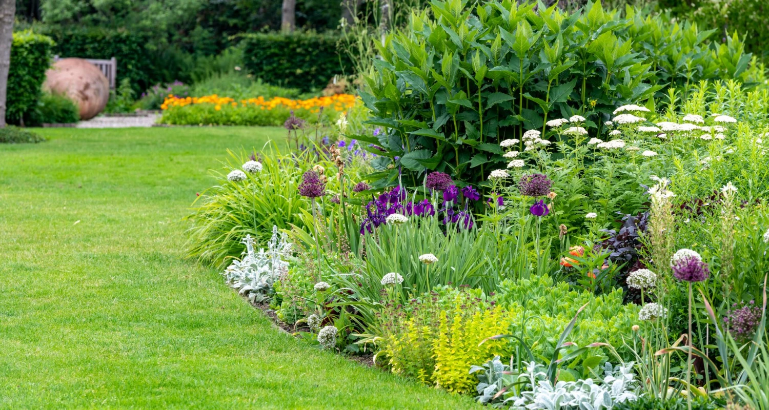 Een vasteplantenborder vol karakter: vaste planten aanplanten en onderhouden Thumb