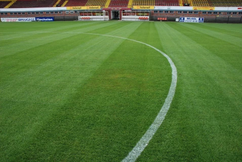 DCM GRASS-CARE maakt je voetbalvelden winterklaar! Thumb