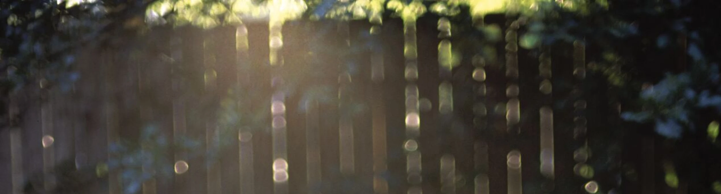 Header image alt