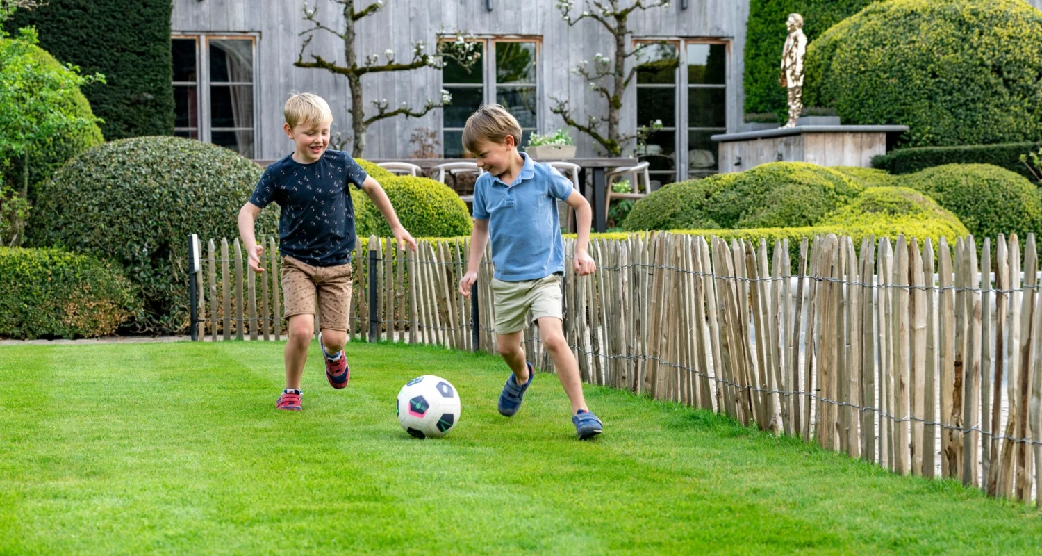 Graszaad in verschillende soorten, afgestemd op de functie van jouw gazon Thumb
