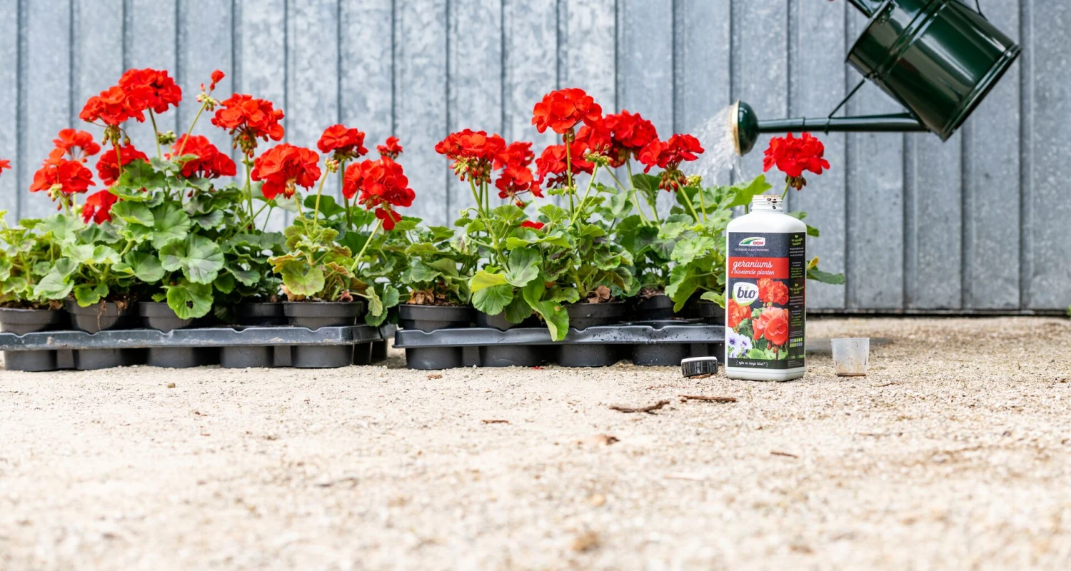 Planten bijmesten met vloeibare meststof Thumb