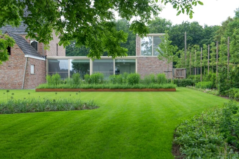 Een mooi groen gazon, het hele jaar rond Thumb