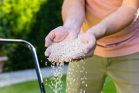 Kalk, de geheime bondgenoot van jouw tuin Thumb
