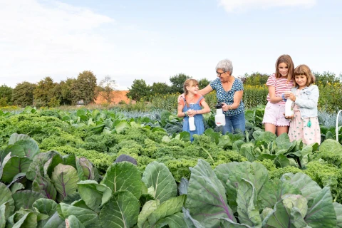 Bescherm je planten met brandnetelgier Thumb