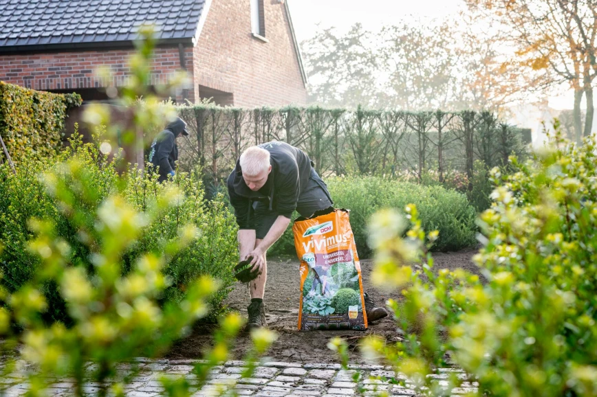 Waarom planten in het najaar? Thumb