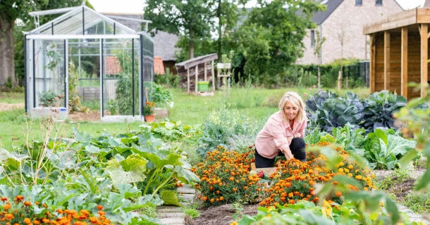 De beste bodemverbeteraar voor je moestuin, met levende organismen Thumb