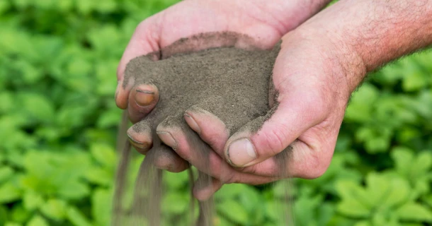 Welke grond heb ik in mijn tuin? 3 verschillende grondsoorten Thumb