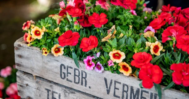 Turfvrije potgrond voor de duurzame tuin Thumb