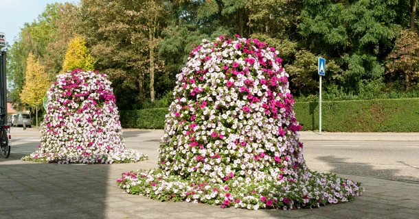 DCM Pyramidemengels Het potgrondmengsel speciaal voor stadsbebloeming Thumb