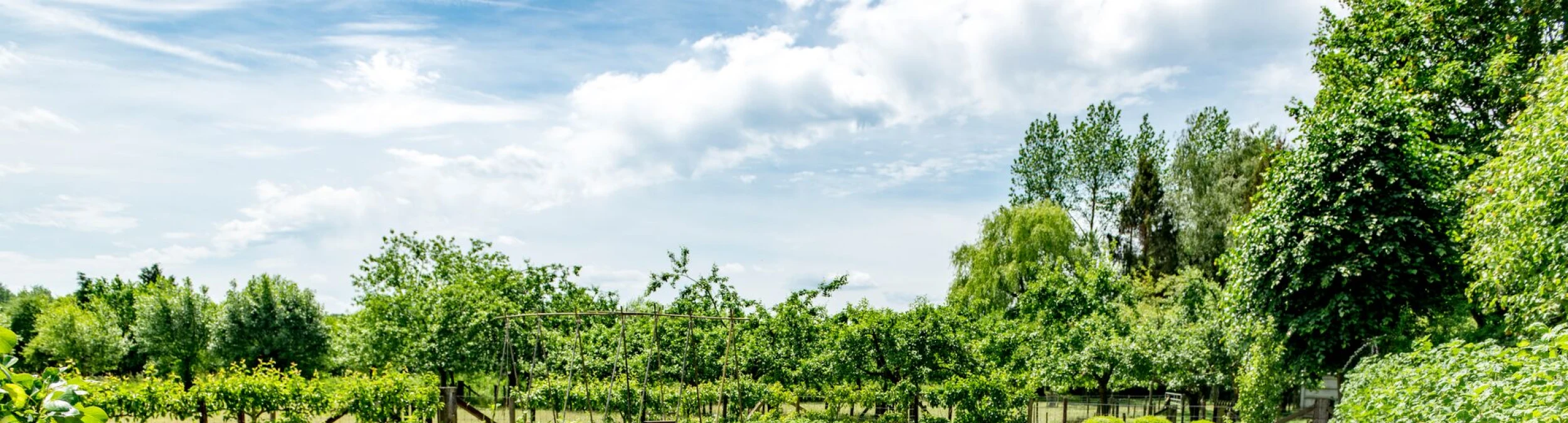 Header image alt
