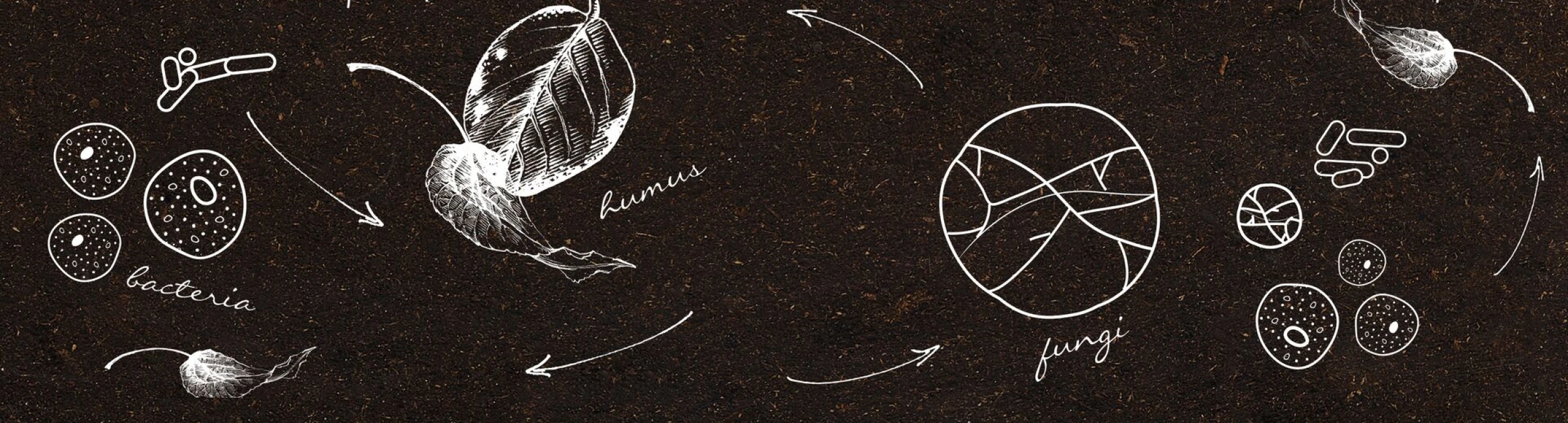 Header image alt