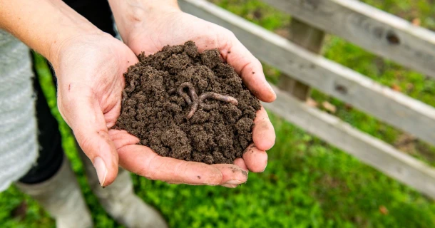 De bodem verbeteren voor je planten: essentieel of overbodig? Thumb