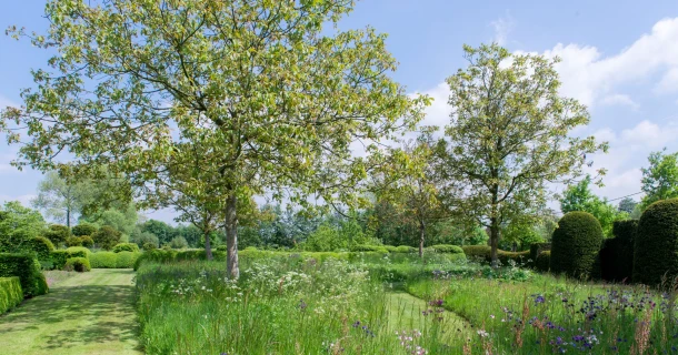 Leg een gazon aan met een stuk bloemrijk grasland Thumb