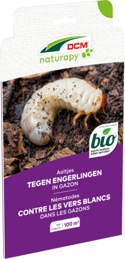 Aaltjes tegen engerlingen in gazon thumbnail