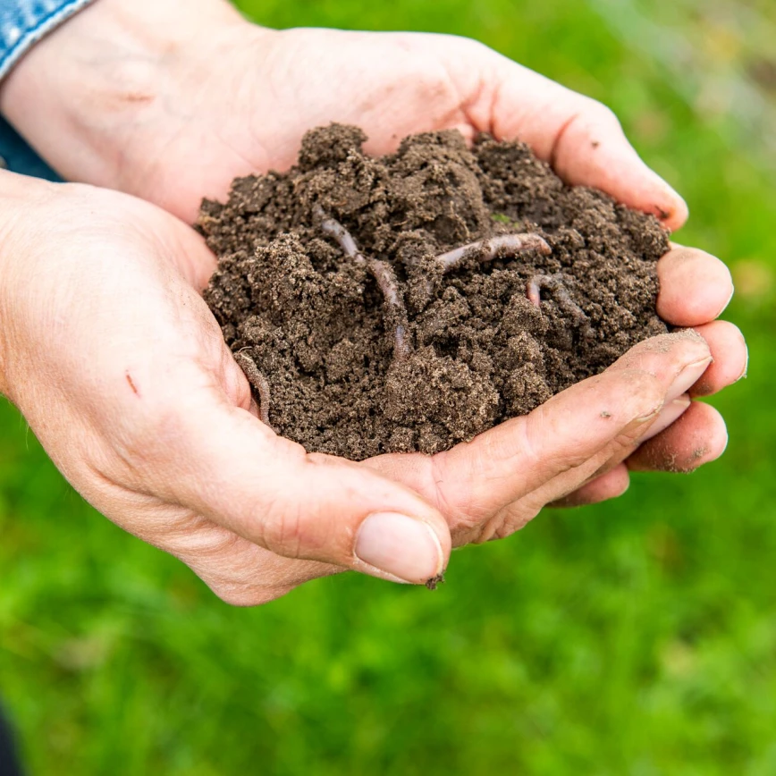 DCM BODEMANALYSE: de basis voor een geslaagde aanplanting Thumb