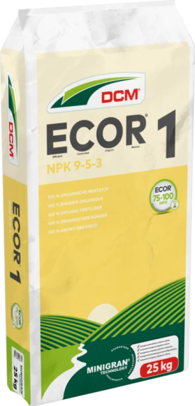 DCM ECOR® 1 thumbnail