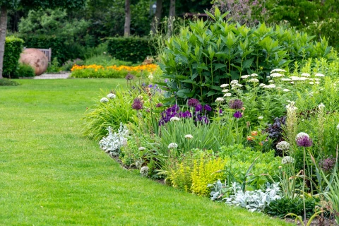 Een vasteplantenborder vol karakter: vaste planten aanplanten en onderhouden Thumb