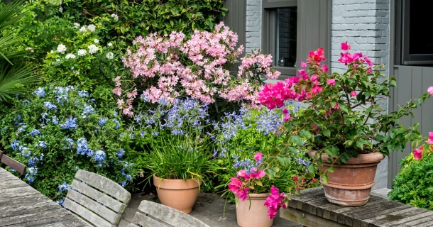 Een balkon vol natuur Thumb
