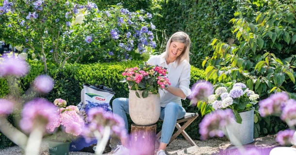 Hortensia’s planten Thumb