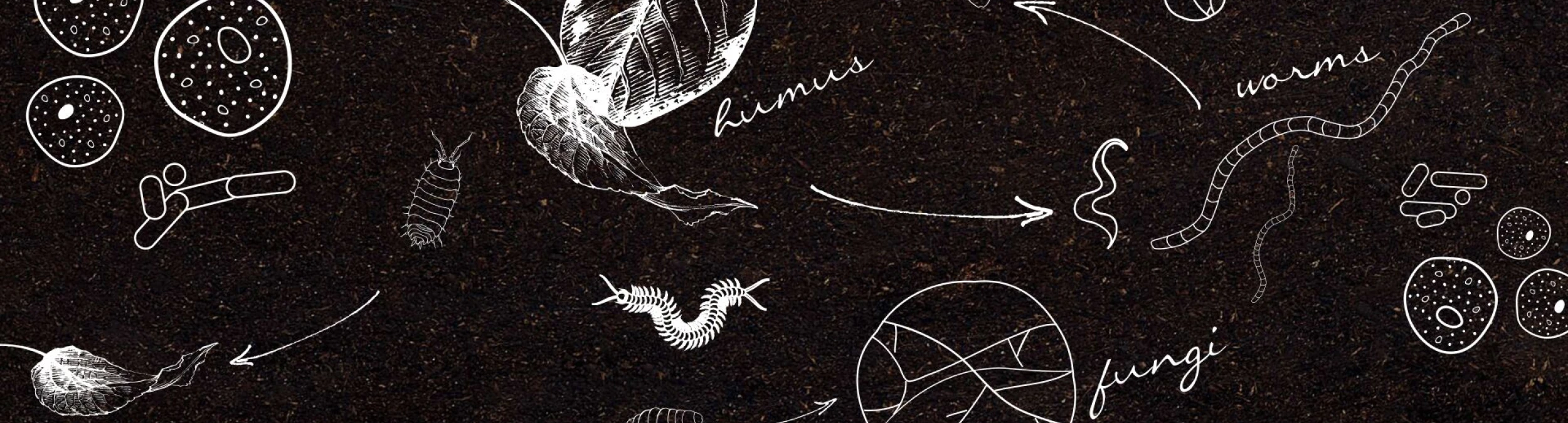 Header image alt