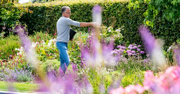 Kalk strooien voor een mooie siertuin Thumb