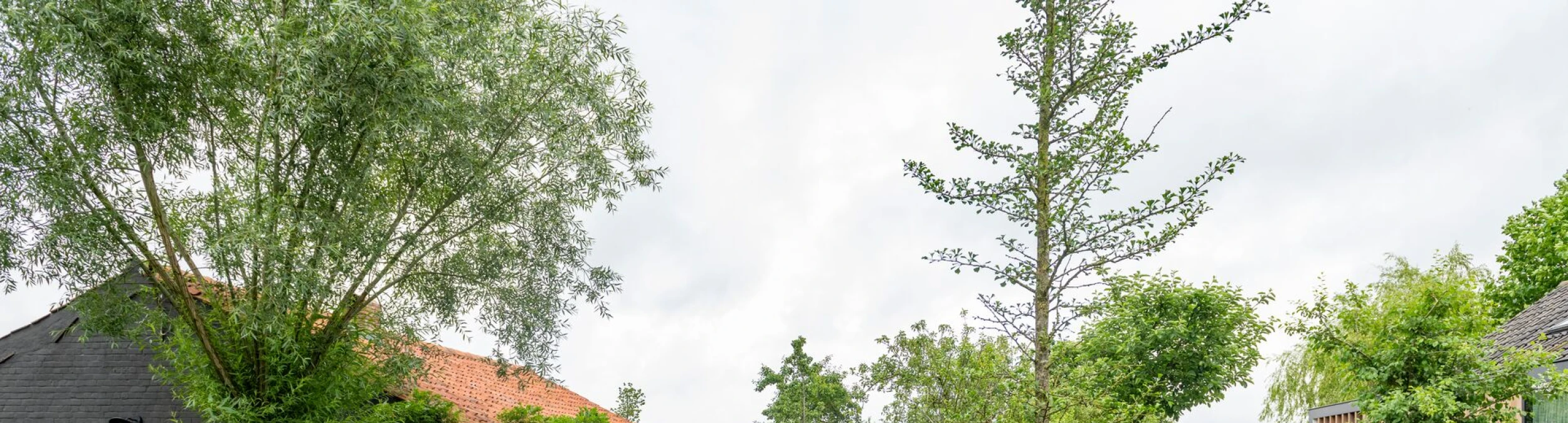 Header image alt