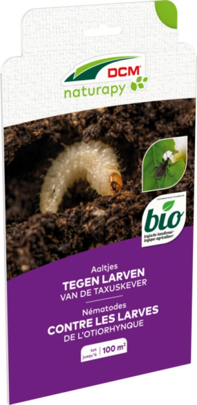 Aaltjes tegen larven van de taxuskever thumbnail