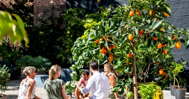 De hele zomer die heerlijke, zwoele Mediterrane sfeer op je terras. Thumb