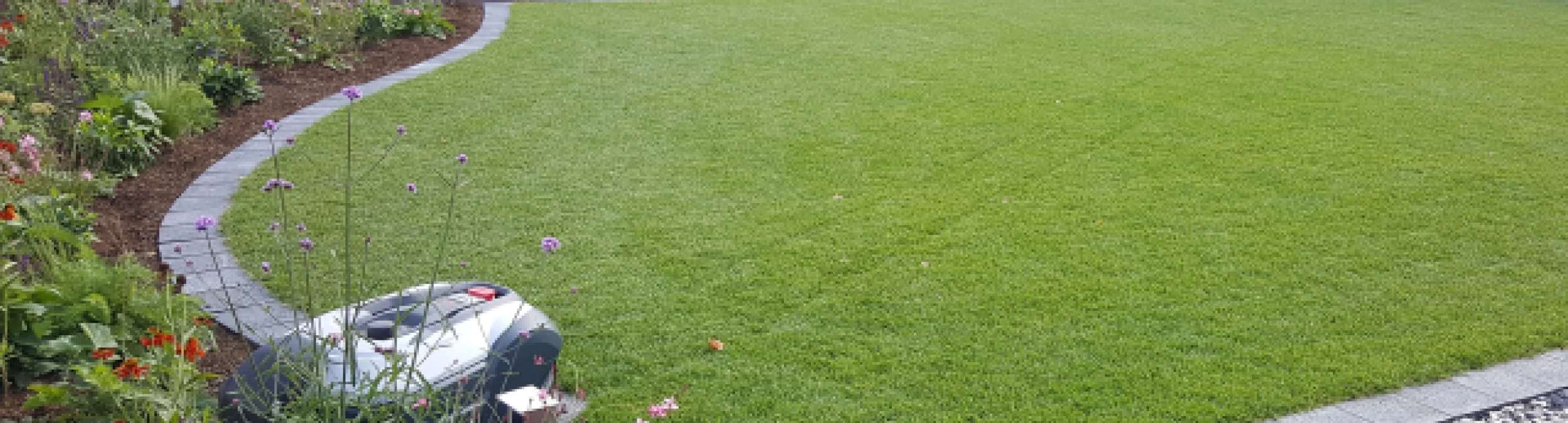 Header image alt