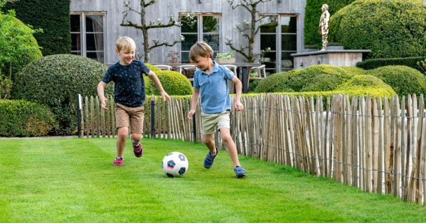 Graszaad in verschillende soorten, afgestemd op de functie van jouw gazon Thumb