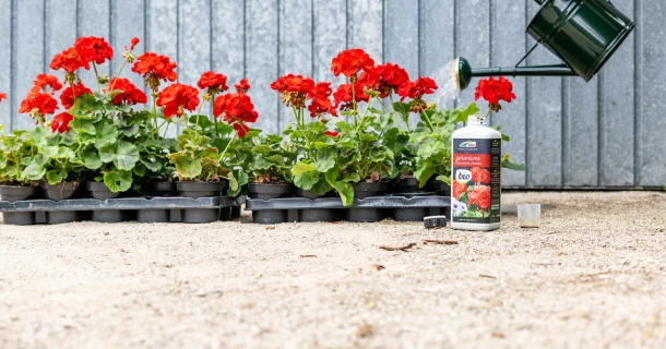 Planten bijmesten met vloeibare meststof Thumb