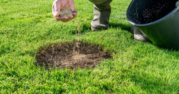 Herstel de kale plekken in je gazon snel en langdurig Thumb