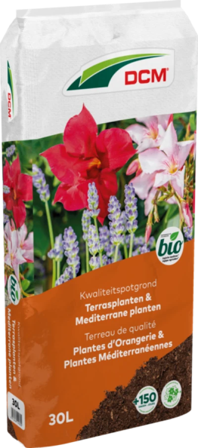 DCM POTGROND TERRASPLANTEN & MEDITERRANE PLANTEN thumbnail