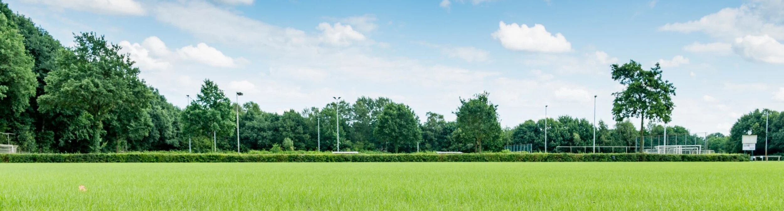 Header image alt