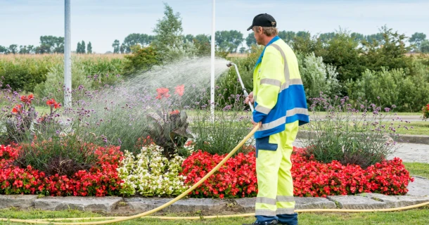 DCM ProLico® Flower de ideale vloeibare meststof voor stadsbebloeming Thumb