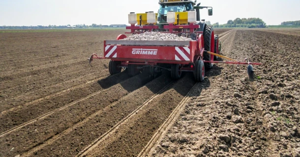 Hogere opbrengst bij bio-aardappelen met DCM VIVISOL®-AGRI Thumb