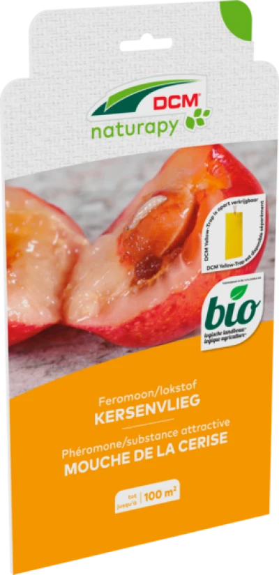 Feromoon kersenvlieg thumbnail