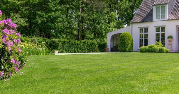 Een prachtig Engels siergazon in jouw tuin is gemakkelijk mogelijk Thumb