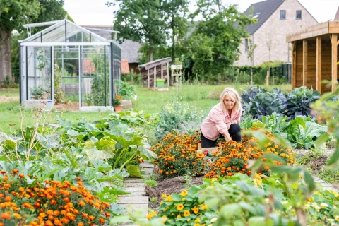De beste bodemverbeteraar voor je moestuin, met levende organismen Thumb