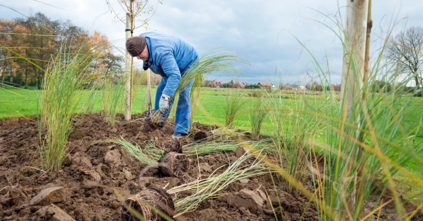 Tuinen Brouckaert geeft planten steeds een goede start met DCM VIVIMUS® Thumb