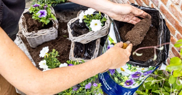 Potgrond met waterkristallen: bescherm je planten tegen uitdroging Thumb