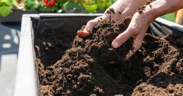 Plannen voor een moestuinbak? Zo begin je eraan. Thumb