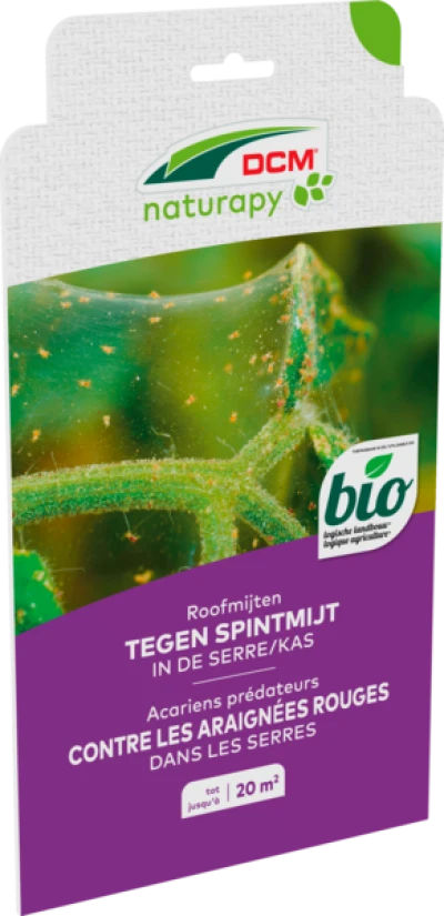 Roofmijten tegen spintmijt in de kas thumbnail