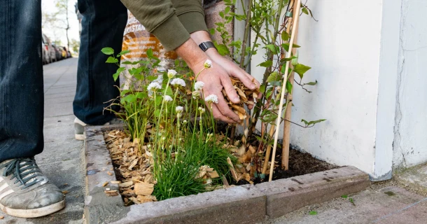 Tegel eruit, planten erin Thumb