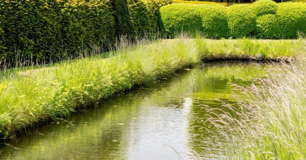 Maak van je tuin een sponstuin Thumb