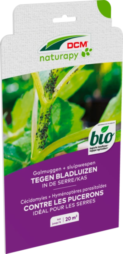 Galmuggen + sluipwespen tegen bladluizen in de serre/kas thumbnail