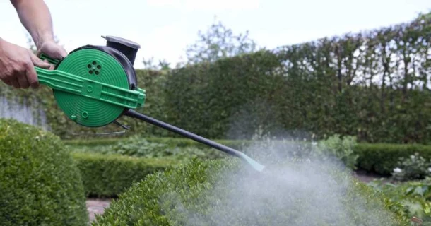 Voorkom rupsenvraat op je buxus, breng een fysische barrière aan Thumb