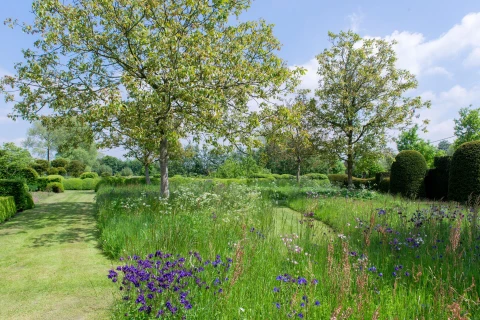 Leg een gazon aan met een stuk bloemrijk grasland Thumb
