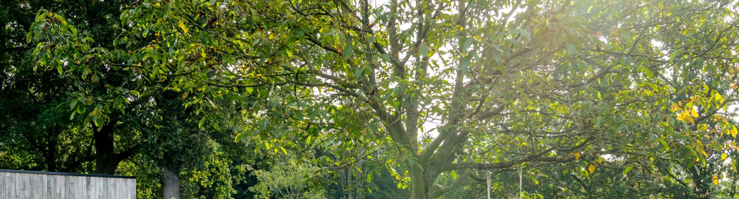 Header image alt